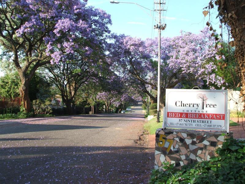 יוהנסבורג Cherry Tree Cottage B&B Linden מראה חיצוני תמונה